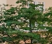 Сдать в аренду Квартиры вторичка Тверская улица, 28к1   