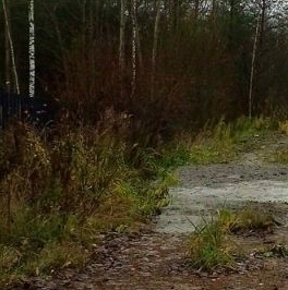 Продажа земли Новая Ропша садоводческий массив, Поиск СНТ, 6-я линия Продажа земли Новая Ропша садоводческий массив, Поиск СНТ, 6-я линия