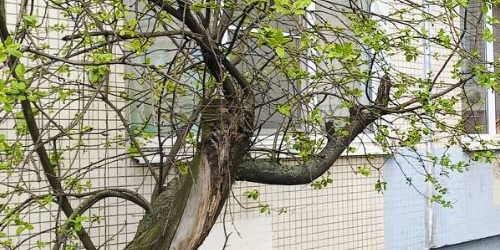 3-комн квартира Пловдивская улица, 3К1