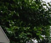 Продать Квартиры вторичка Офицерский переулок, 13   