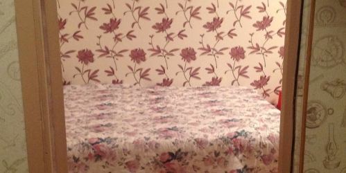 1-комн квартира Жемчуговой аллея ,  д. 3,  к. 3