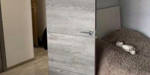 1-комн квартира Пушкин, Прямой переулок, 3