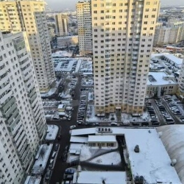 Продажа 1-комн квартиры на вторичном рынке Шушары п, Новгородский пр-кт,  д. 10