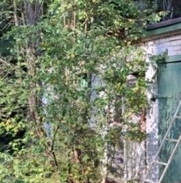 Продажа дома пос. Репино, Финляндская улица, 10