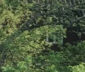 Продать Дачи, коттеджи, загородные дома д. Заплотье, улица Центральная, 10   