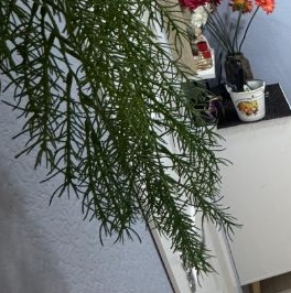 Аренда 1-комн квартиры на вторичном рынке улица Русановская, 18к6 Аренда 1-комн квартиры на вторичном рынке улица Русановская, 18к6