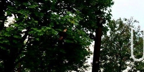 4-комн квартира улица Ефремова, 19к4