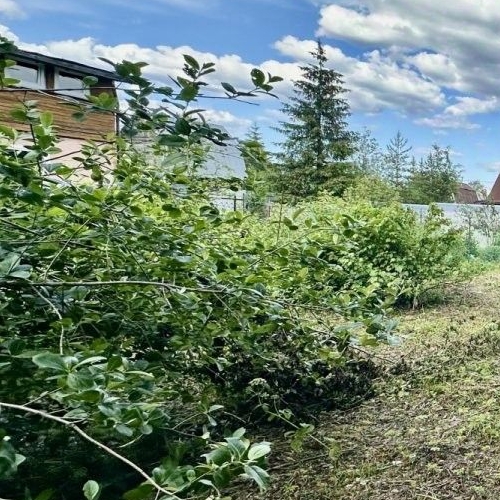 Коттедж/дом Облстрой СНТ,  д. 48