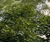 Продать Квартиры вторичка Новгородская улица, 7К1   