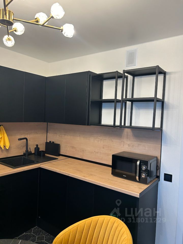 Аренда студии Мурино, проспект Авиаторов Балтики, 25