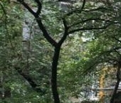 Продать Квартиры вторичка 3-я Курьяновская улица, 5А   