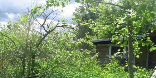 Земельный участок Гатчина г, Рощинская ул