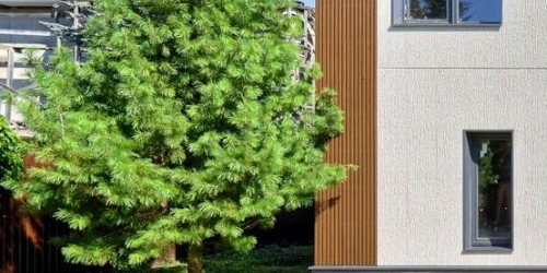 Коттедж/дом пос. Лисий Нос, Большой проспект, 60