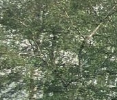 Продать Квартиры вторичка Челябинская улица, 24К2   