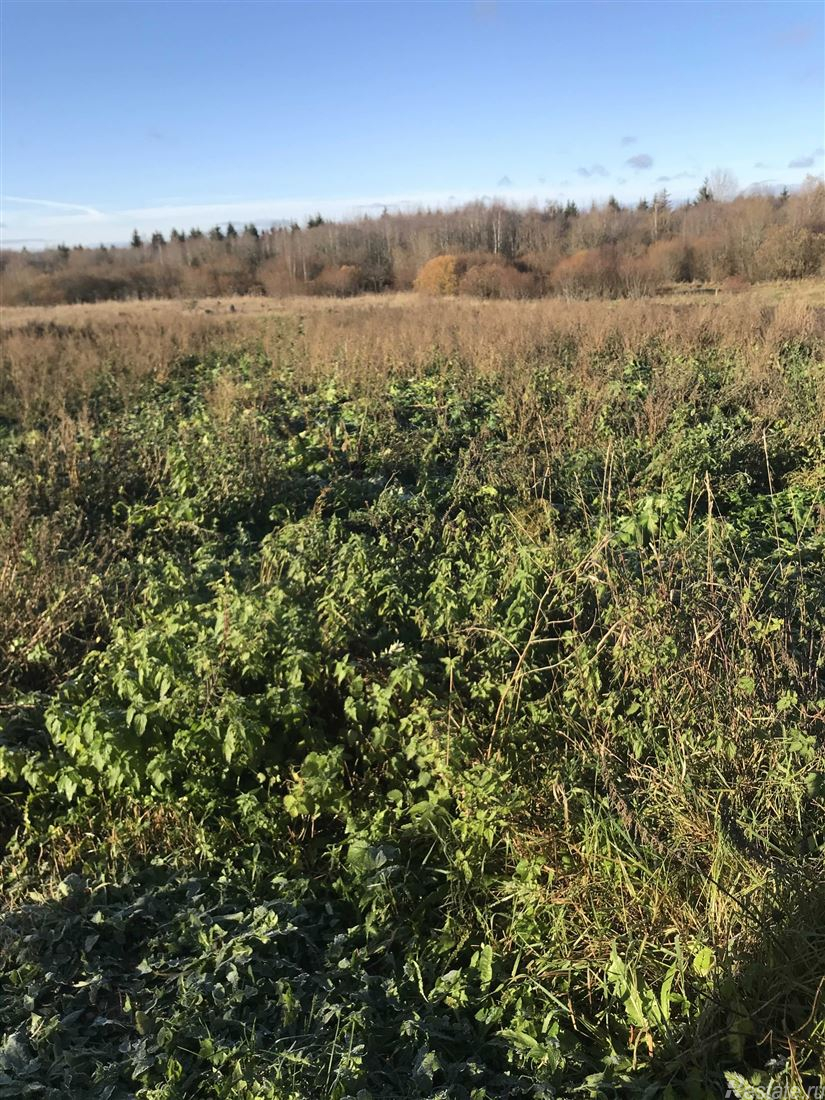 Продажа земли Шпаньково, ул Коммунальная