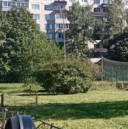 Продажа 3-комн квартиры на вторичном рынке проспект Культуры, 15К6 Продажа 3-комн квартиры на вторичном рынке проспект Культуры, 15К6