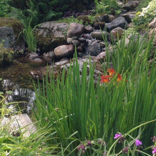 Коттедж/дом Комарово п., 1-я Дачная ул., 57, литера Б