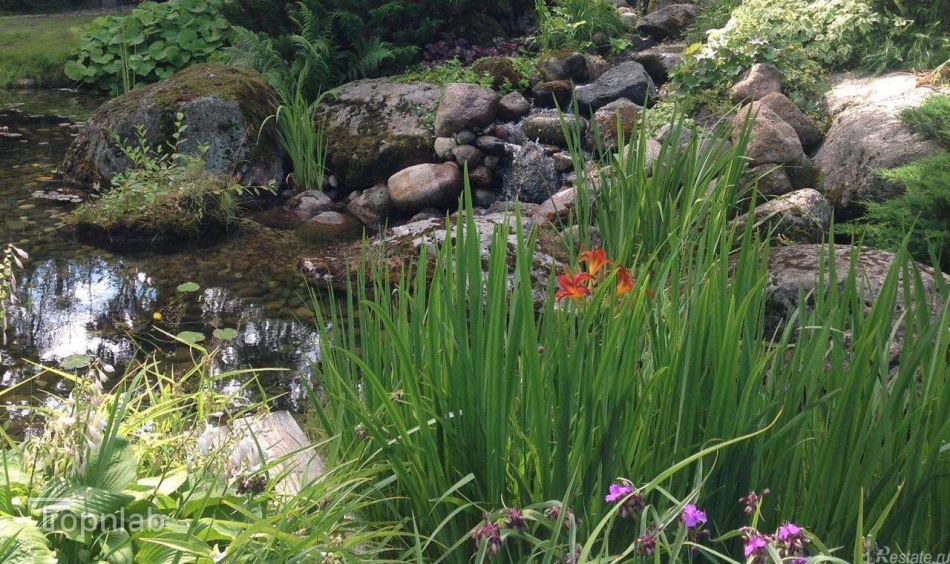 Аренда дома Комарово п., 1-я Дачная ул., 57, литера Б