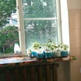 Продажа комнаты проспект Стачек, 8А Продажа комнаты проспект Стачек, 8А