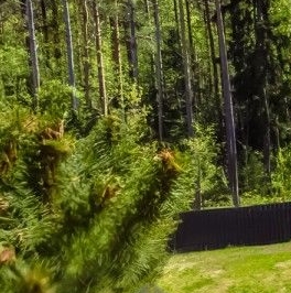 Продажа дома Зеленогорск, улица Строителей Продажа дома Зеленогорск, улица Строителей