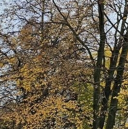 Продажа комнаты улица Летчика Бабушкина, 4 Продажа комнаты улица Летчика Бабушкина, 4