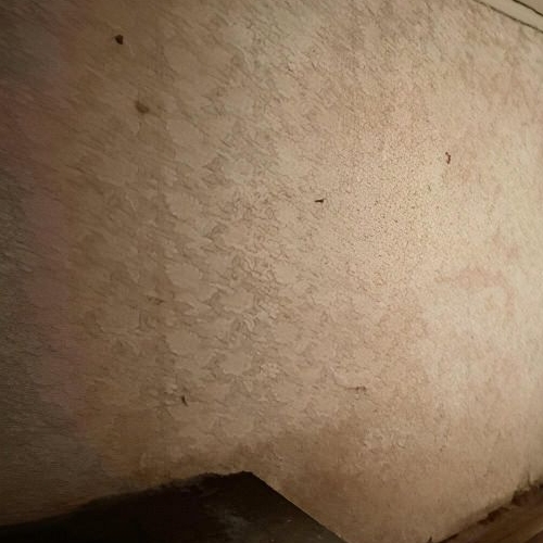 Коттедж/дом Луга, Смоленская улица, 117