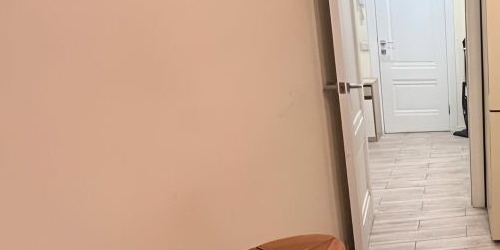 1-комн квартира Большеохтинский проспект, 1К1