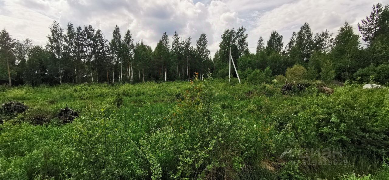 Продажа земли Дачное некоммерческое партнерство Волшебный сад, проезд Центральный,  д. 15