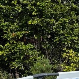 Продажа дома Родники СНТ, 95 Продажа дома Родники СНТ, 95