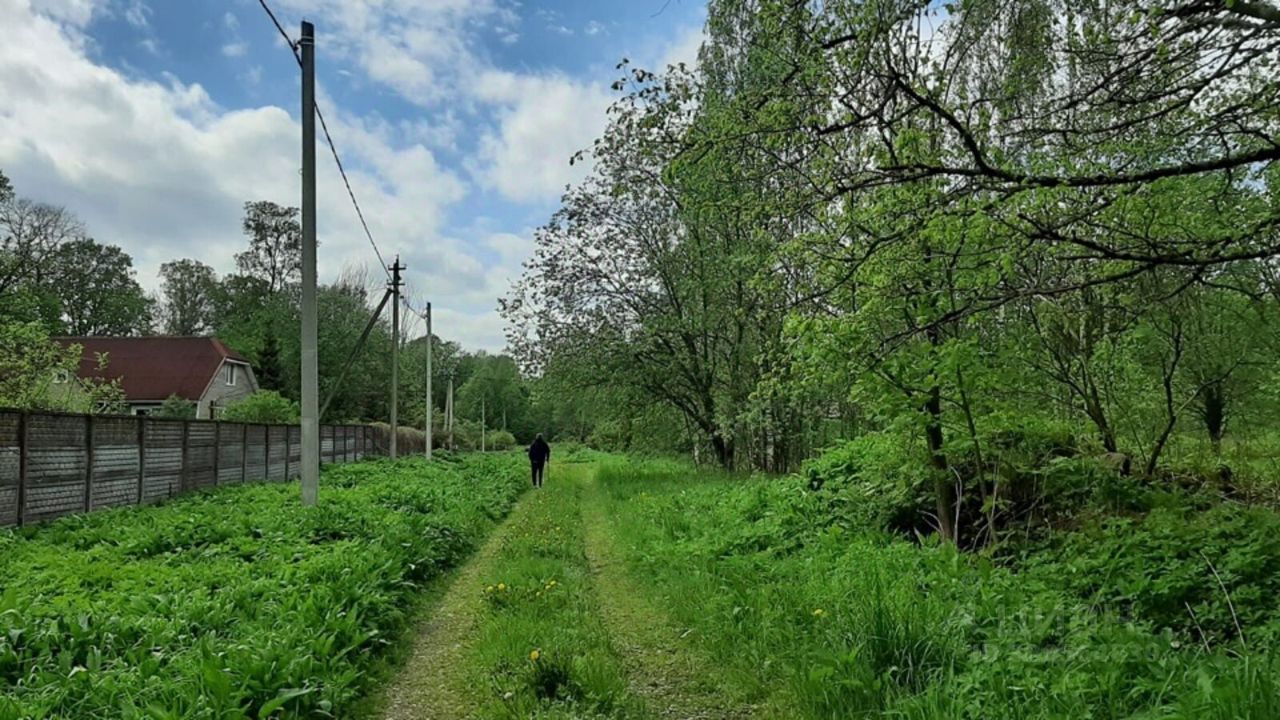 Продажа земли д. Шадырицы, 5