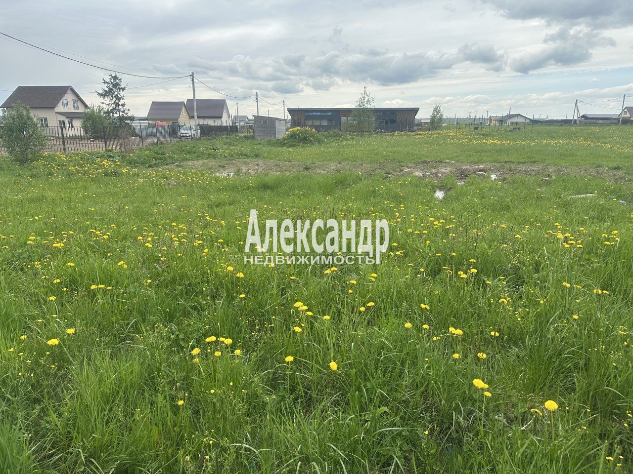 Продажа земли Дачная тер., улица Светлановская, 2433