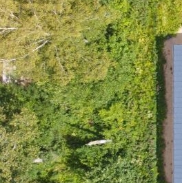 Продажа дома Репино Парк кп, д. 506 Продажа дома Репино Парк кп, д. 506