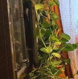 Продажа 3-комн квартиры на вторичном рынке Мытищи, Юбилейная улица, 27к1 Продажа 3-комн квартиры на вторичном рынке Мытищи, Юбилейная улица, 27к1