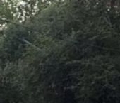 Продать Квартиры вторичка Реутов, улица Победы, 15   