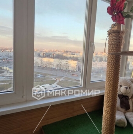 Продажа 2-комн квартиры на вторичном рынке Турку ул,  д. 11,  к. 2
