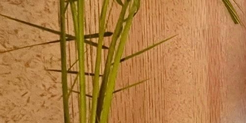 4-комн квартира Кронштадт, Посадская улица, 1/82