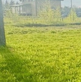 Продажа дома д. Турово, улица Озерная, 8 Продажа дома д. Турово, улица Озерная, 8