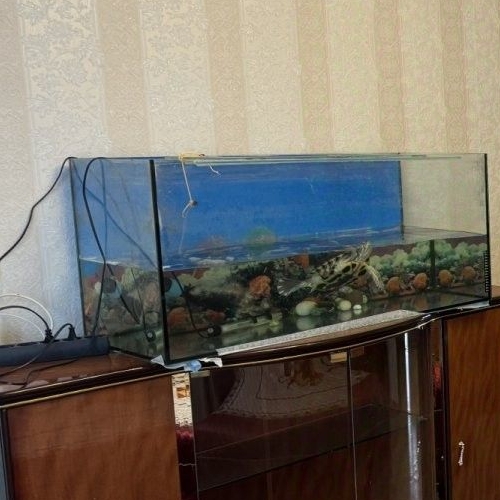 2-комн квартира Вырица городской поселок, улица Слуцкая, 11