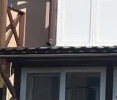 Продать Дачи, коттеджи, загородные дома д. Владимировка, улица Свободы, 5   