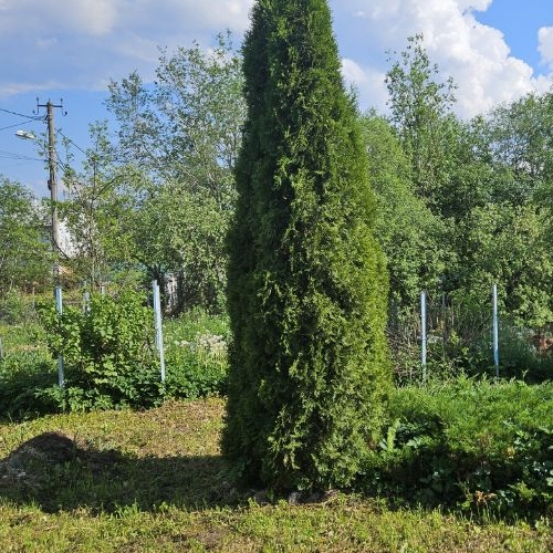 Коттедж/дом Поркузи садоводческий массив, Поляны СНТ,  д. 70