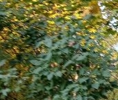 Продать Квартиры вторичка проспект Пархоменко, 26   