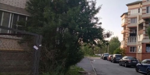 1-комн квартира Павловск, Березовая улица, 27