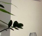 Сдать в аренду Квартиры вторичка улица Юлиана Семенова, 8к1   