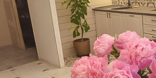 1-комн квартира проспект Чернышевского, 13