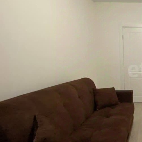 Студия пос. Шушары, улица Чудовская, 14к1