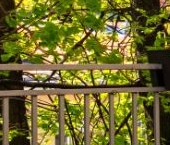 Сдать в аренду Квартиры вторичка улица Куйбышева, 26к2   