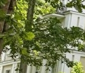 Продать Комнаты в квартирах Пушкин, улица Глинки, 8   