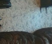 Сдать в аренду Квартиры вторичка проспект Просвещения, 76К1   