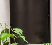 Сдать в аренду Квартиры вторичка Шелепихинское шоссе, 13С2   