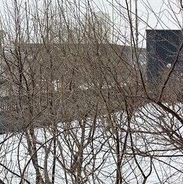 Аренда студии Шелепихинская набережная, 34к2зд1 Аренда студии Шелепихинская набережная, 34к2зд1